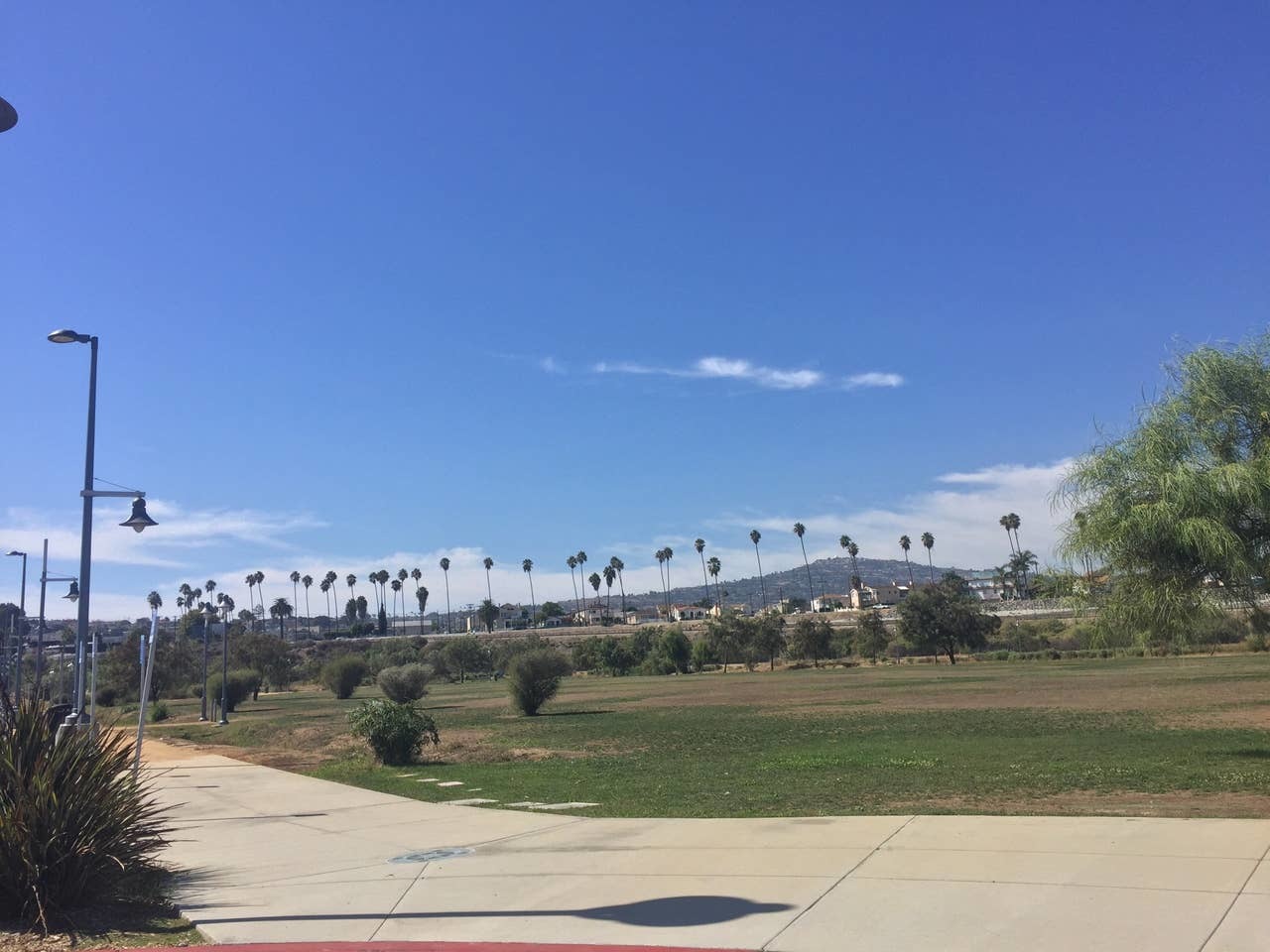 22nd Street Landing Sportfishing